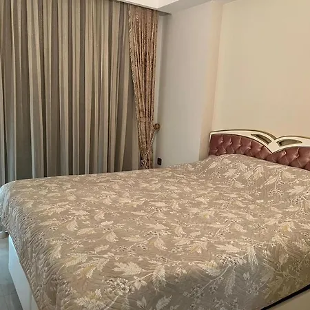 Kurt Safir Euro 20